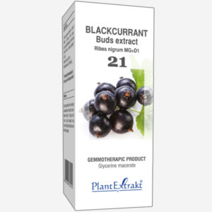 Blackcurrant Buds